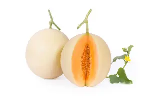 Taj Mahal / Тадж Махал