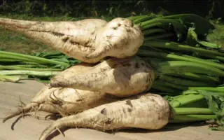 Авторитетний