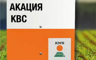 AKAZIA KWS / АКАЦІЯ КВС