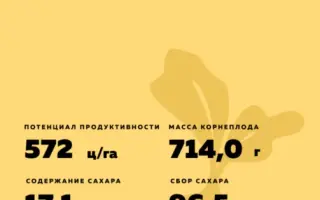 BTS 2645 / БТС 2645