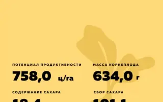 BTS 3560 / БТС 3560