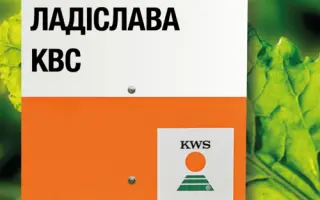 LADISLAVA KWS / ЛАДІСЛАВА КВС