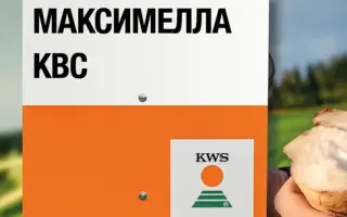 Максим
