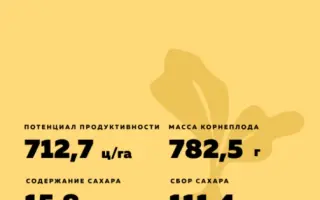 PUSCHKIN / ПУШКІН