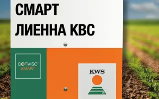 SALVATORICA KWS / САЛЬВАТОРІКА КВС