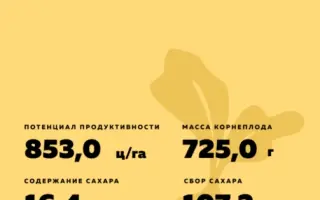 SIOUX / СІУ
