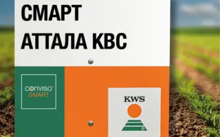 SMART ATTALA KWS / СМАРТ АТТАЛА КВС