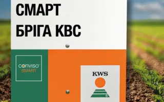 SMART BRIGA KWS / СМАРТ БРІГА КВС