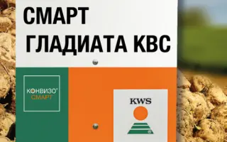 SMART GLADIATA KWS / СМАРТ ГЛАДІАТА КВС