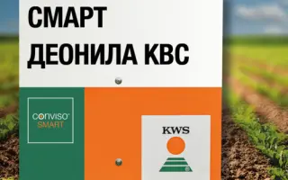 SMART DEONILA KWS / СМАРТ ДЕОНІЛА КВС
