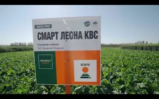 SMART GINEVRA KWS / СМАРТ ДЖІНЕВРА КВС