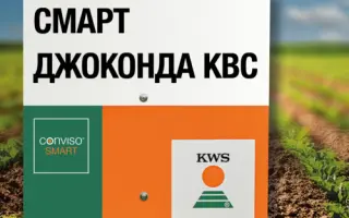 SMART GIOCONDA KWS / СМАРТ ДЖОКОНДА КВС