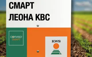 SMART LEONA KWS / СМАРТ ЛЕОНА КВС