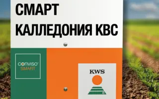 SMART TALIDIA KWS / СМАРТ ТАЛІДА КВС