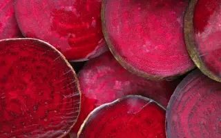 STOLETOW / СТОЛЕТОВ