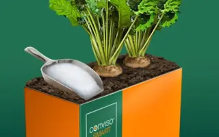 TERRAPIN SMART / ТЕРРАПІН СМАРТ