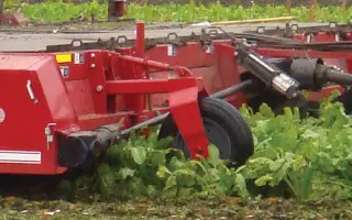 ZEPPELIN / ЦЕППЕЛИН