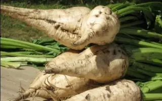 Шевченківський