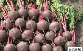 Астро (С/4-У-91) / Астро