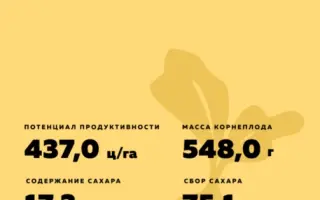 Achat / Ахат