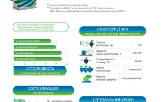 Wapiti / Вапіті