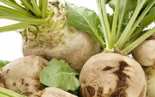 Vorsar / Ворсар