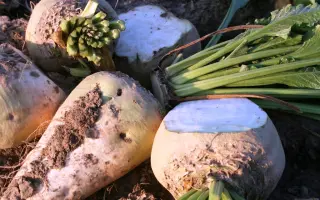 Индустриальная / Індустріальний