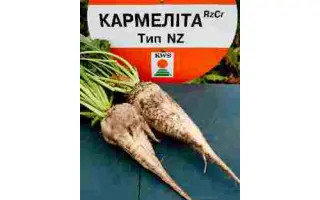 Carmelita / Кармеліта