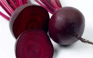 Kestrel / Кестрель