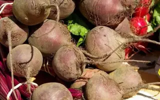 Kujawska / Куявська