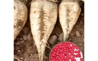 Noricum / Норікум