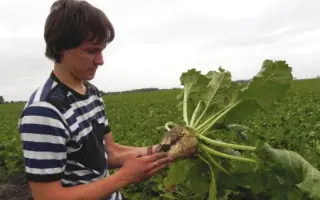 Oregon / Орегон