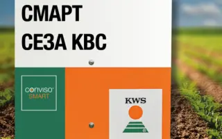 SMART JASNA KWS / СМАРТ ЯСНА КВС