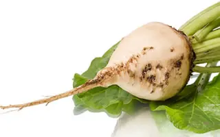 Хилма / Хілма