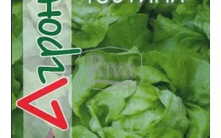 Justina / Юстіна