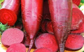 Alexis / Алексіс