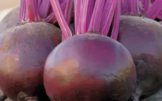 Bettollo / Беттоло