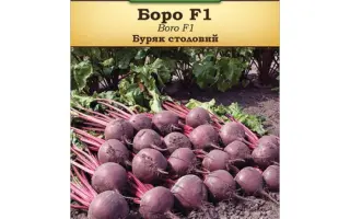 Boro F1 / Боро F1