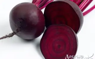 Kestrel / Кестрел