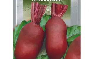 Opolski / Опольський