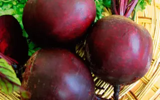 Red Bull / Ред Бул