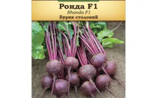 Rhonda F1 / Ронда F1