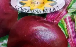 Czerwona kula / Червона куля