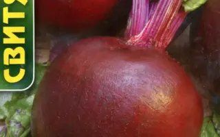 Astar F1 / Астар F1