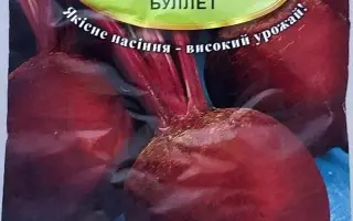 Bullet / Буллет