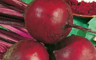 Detroit 2-Nero / Детроит 2 - Неро