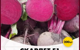 Scarlet Supreme F1 / Скарлет Суприм F1