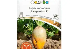 GERONIMO / ДЖЕРОНІМО