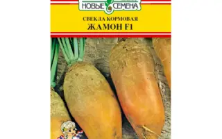 Jamon / Жамон