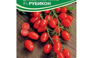 Рубікон